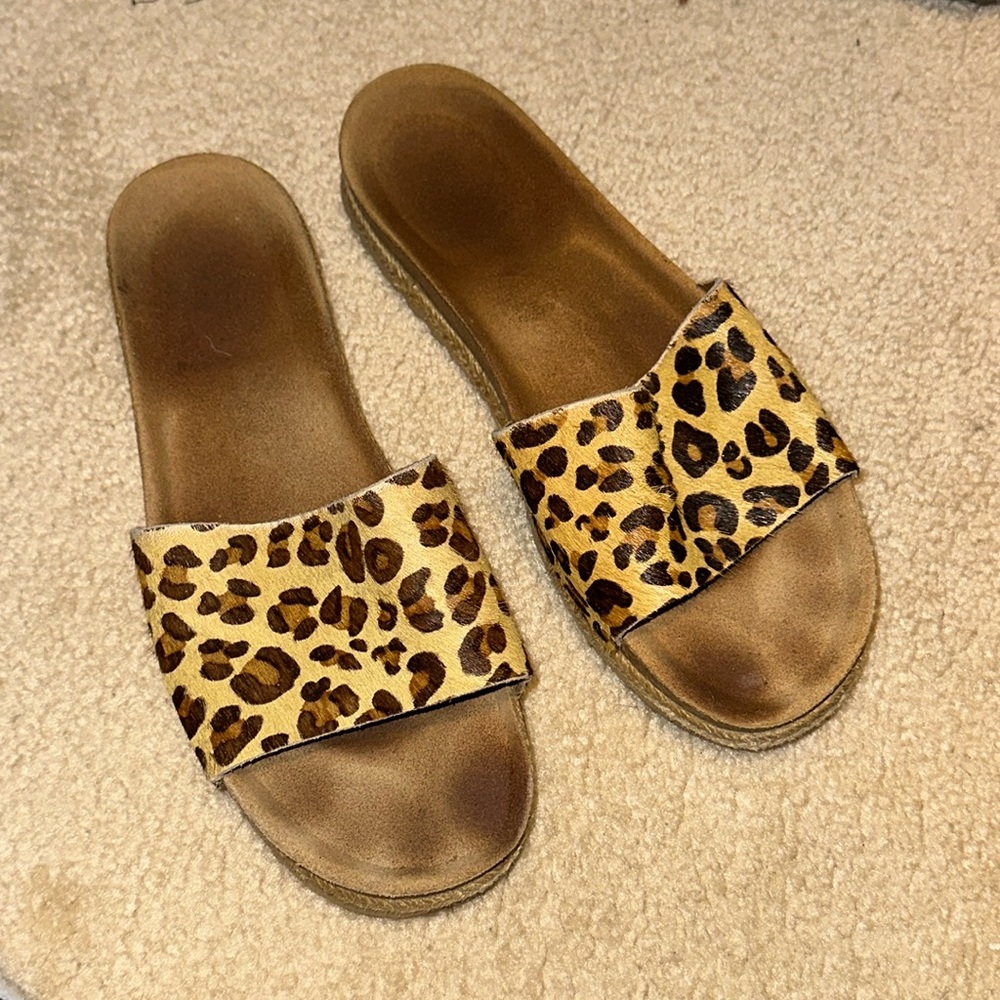 Cheetah Slides - image 2